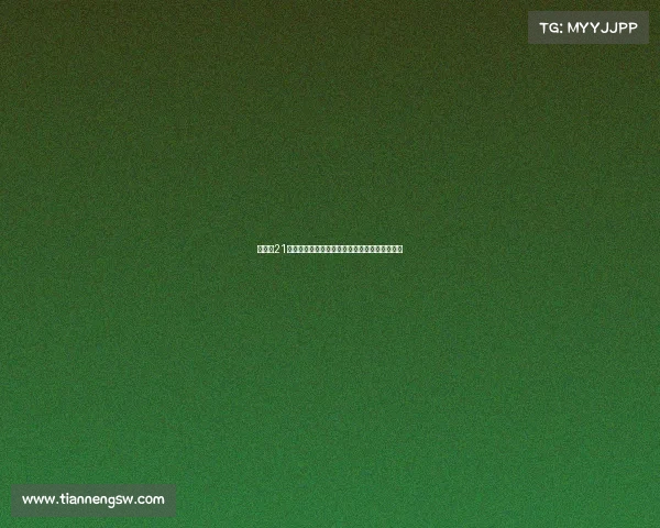 利兹联21岁前锋约瑟夫租借加盟西甲马略卡加强进攻阵容