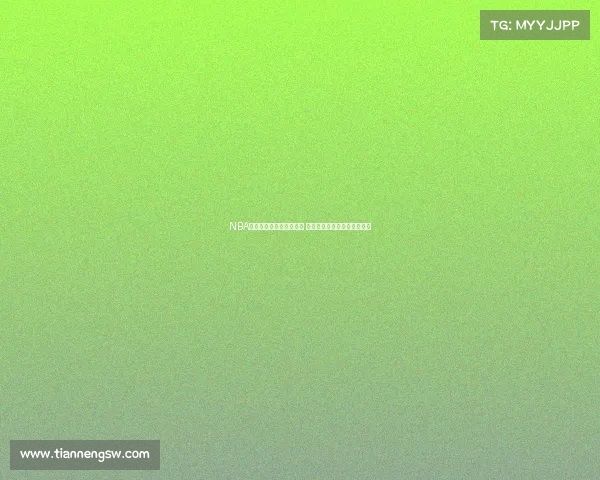 NBA啦啦队的魅力与力量揭秘 他们如何在赛场内外点燃激情