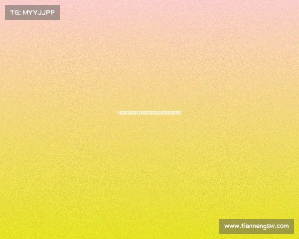 网球比赛全程解析 从赛前准备到赛后总结的完整流程指南